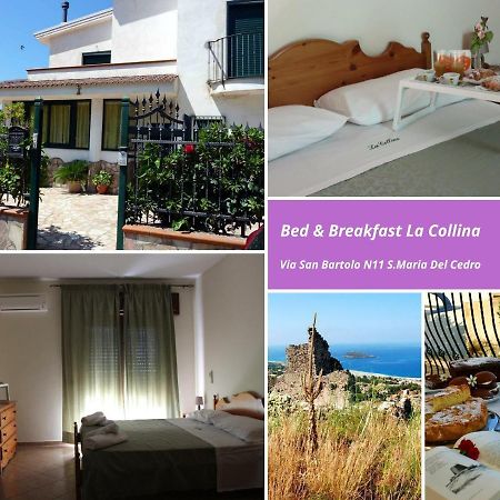 La Collina Bed & Breakfast Santa Maria Del Cedro Dış mekan fotoğraf