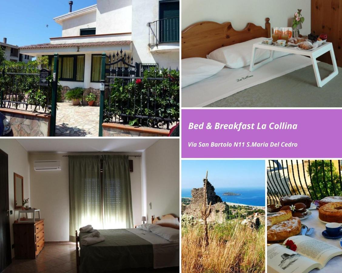 La Collina Bed & Breakfast Santa Maria Del Cedro Dış mekan fotoğraf