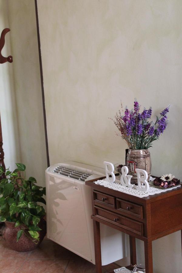 La Collina Bed & Breakfast Santa Maria Del Cedro Dış mekan fotoğraf