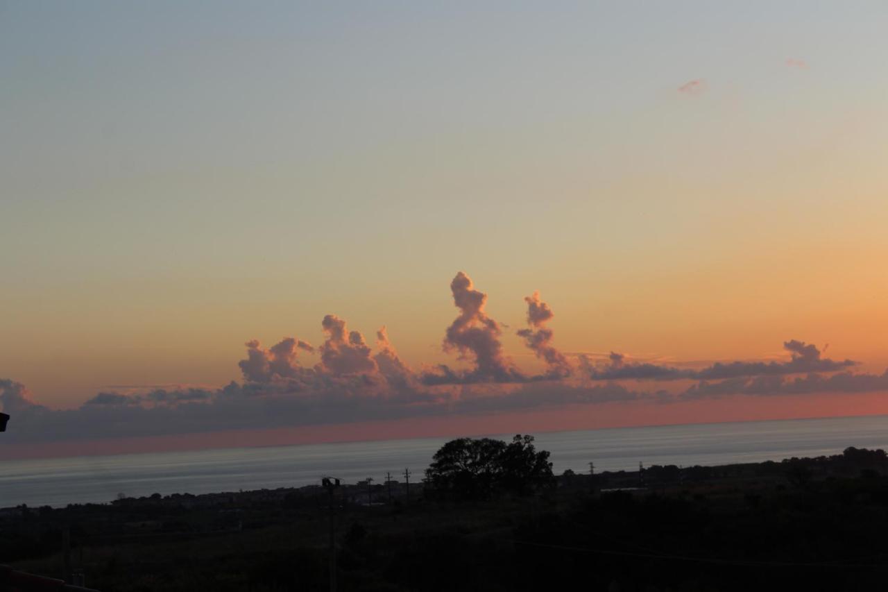 La Collina Bed & Breakfast Santa Maria Del Cedro Dış mekan fotoğraf